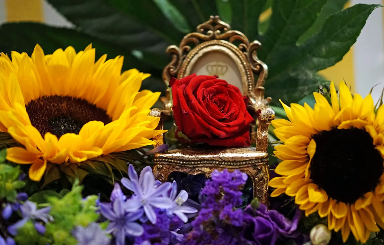 Фото обои подсолнухи, роза, бутон, трон, королева цветов