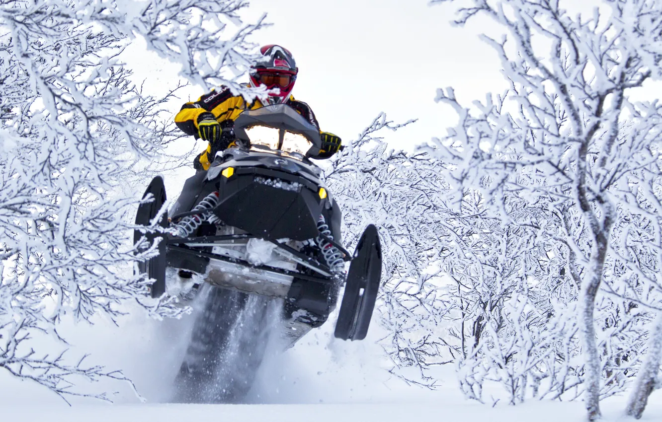 Фото обои Снег, Прыжок, Кусты, Снегоход, Snowmobile, Ski-Doo