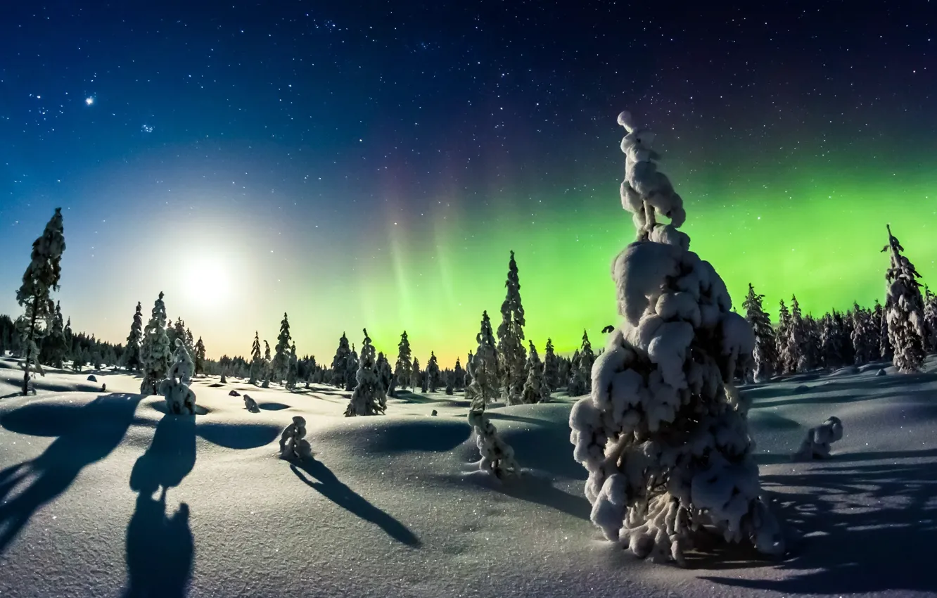 Фото обои зима, лес, снег, природа, северное сияние