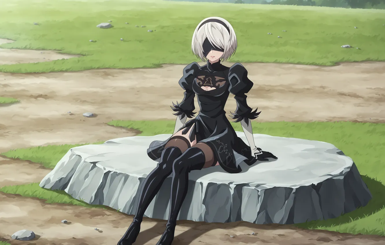 Фото обои поле, девушка, камень, girl, field, woman, stone, nier automata