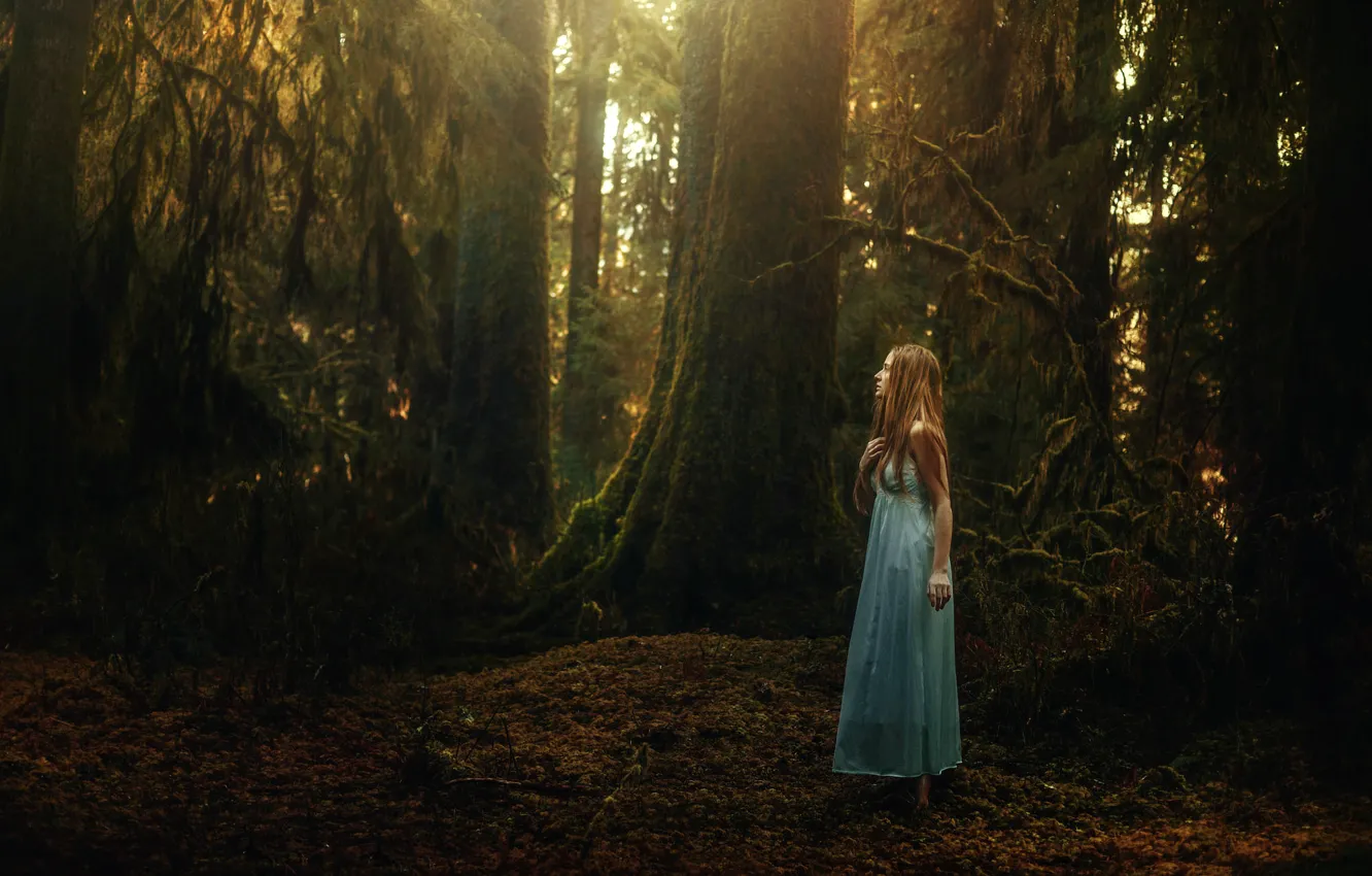 Фото обои лес, девушка, TJ Drysdale, Quiet Wander
