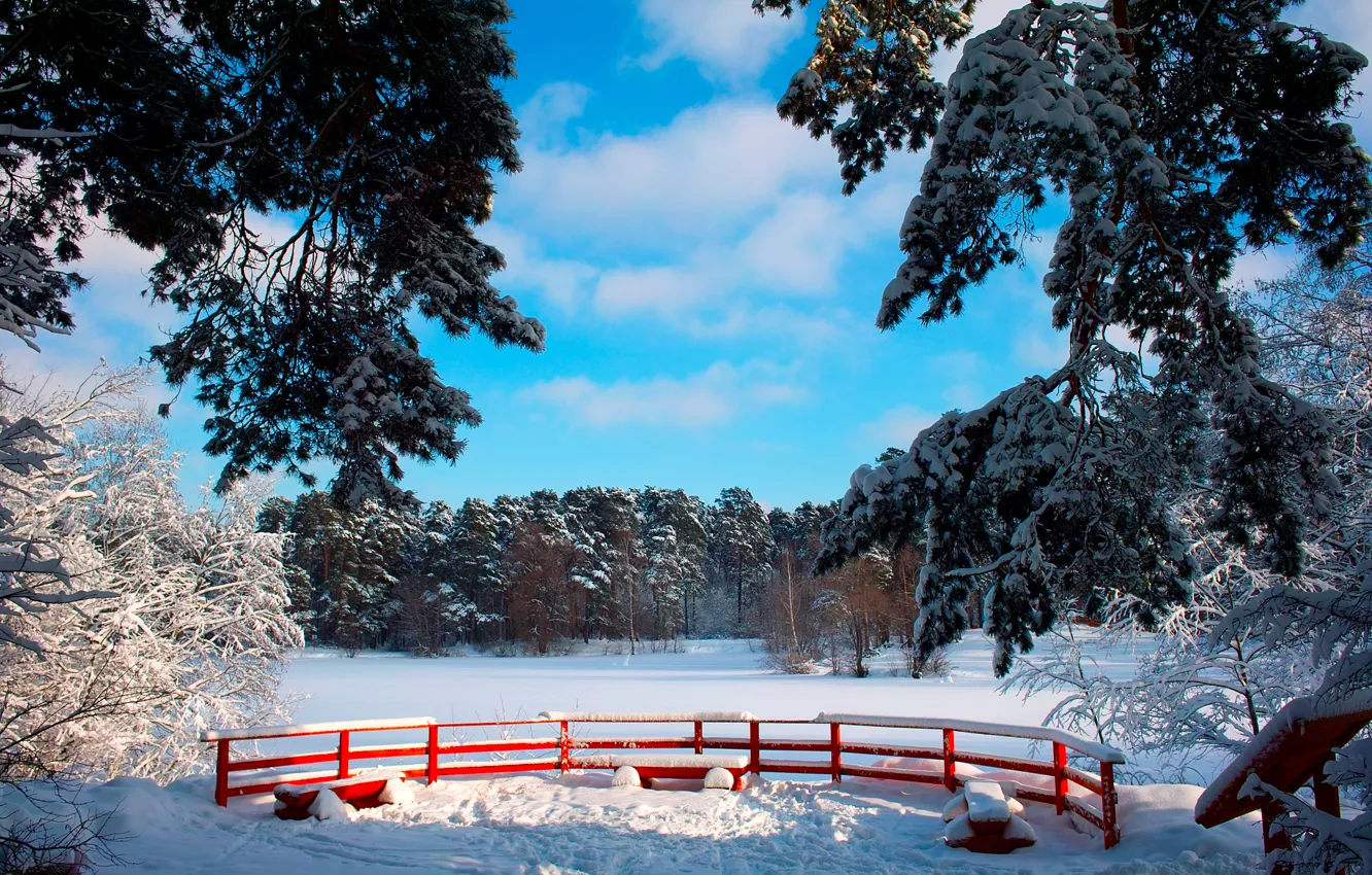 Фото обои зима, небо, солнце, снег, деревья, ветки, парк, скамейки