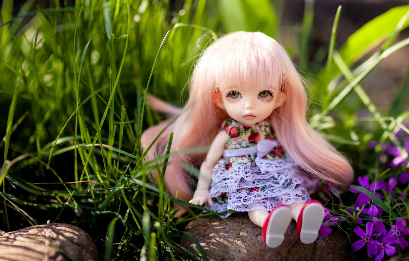Фото обои трава, природа, камень, игрушка, кукла, сидит, розовые волосы