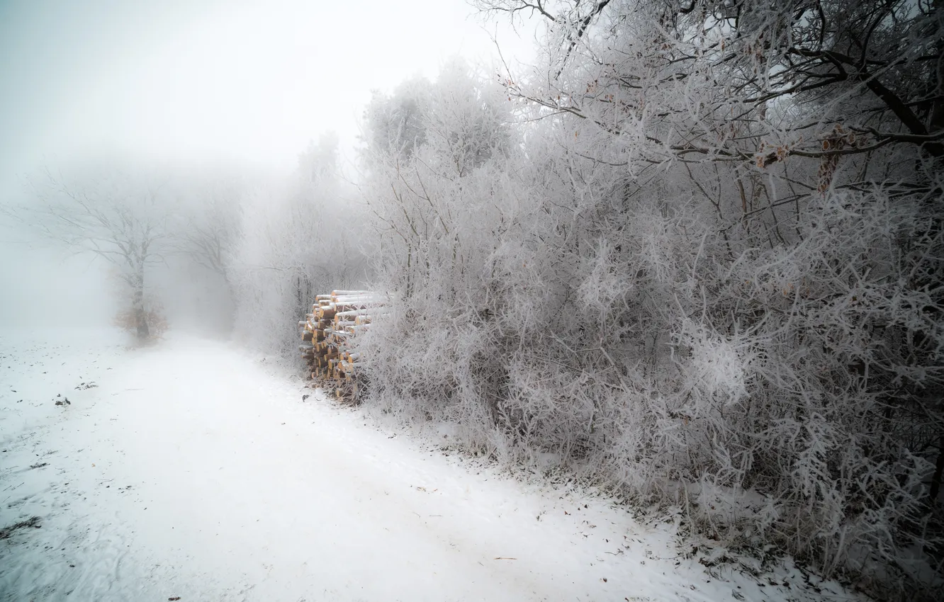 Фото обои зима, иней, туман, дрова