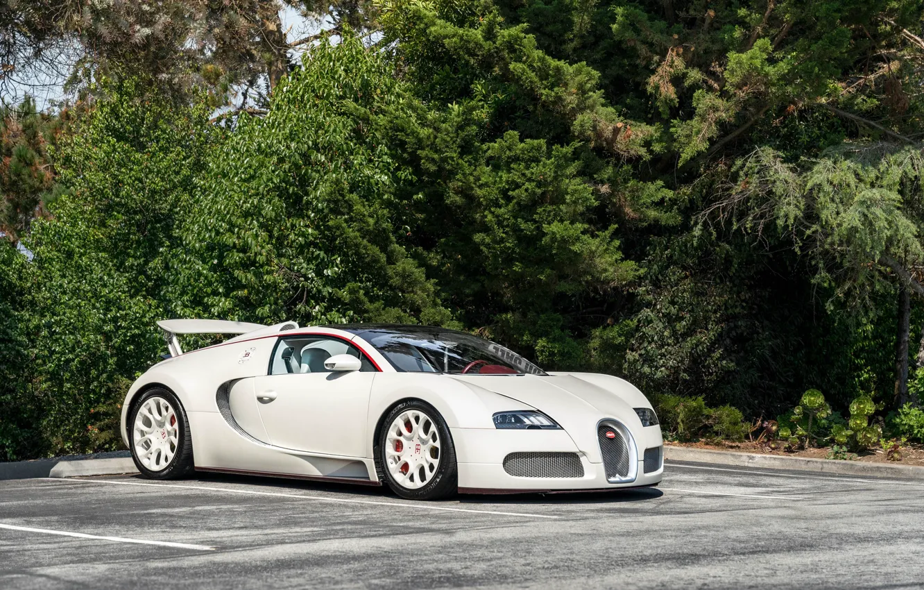 Фото обои Bugatti, veyron, white, parking