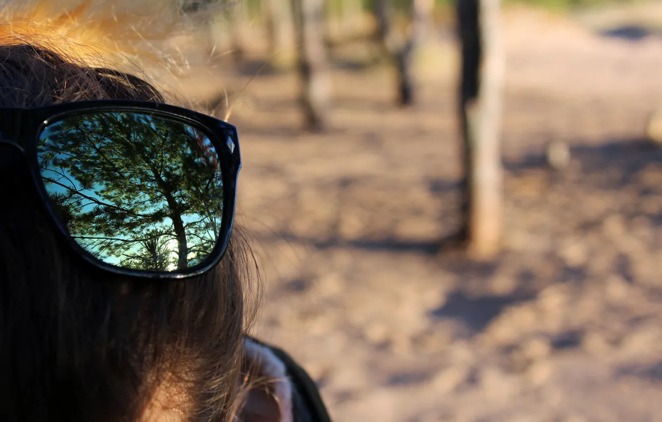 Фото обои осень, лес, деревья, отражение, очки, реальное фото