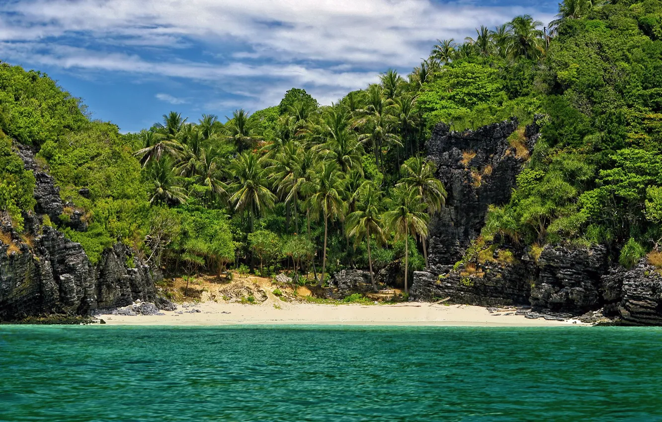 Фото обои пляж, пальмы, в укромном месте