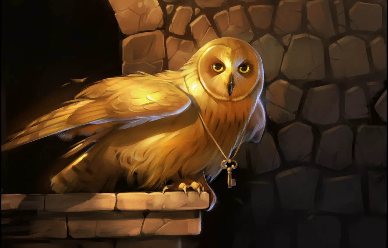 Фото обои глаза, золото, сова, птица, крылья, ключ, арт
