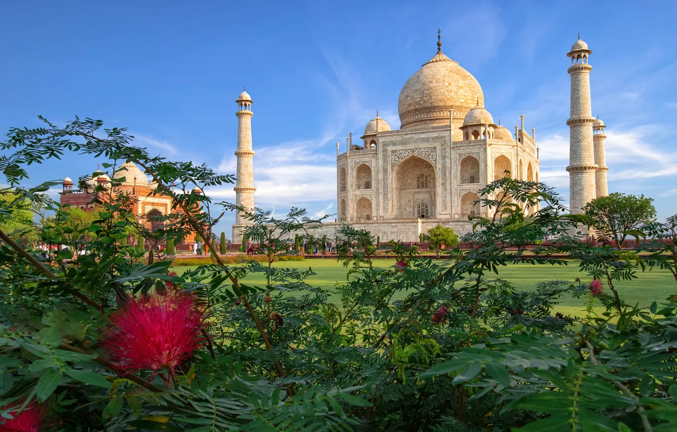 Фото обои Индия, Тадж-Махал, мечеть, архитектура, кусты, мавзолей, Агра, Taj Mahal