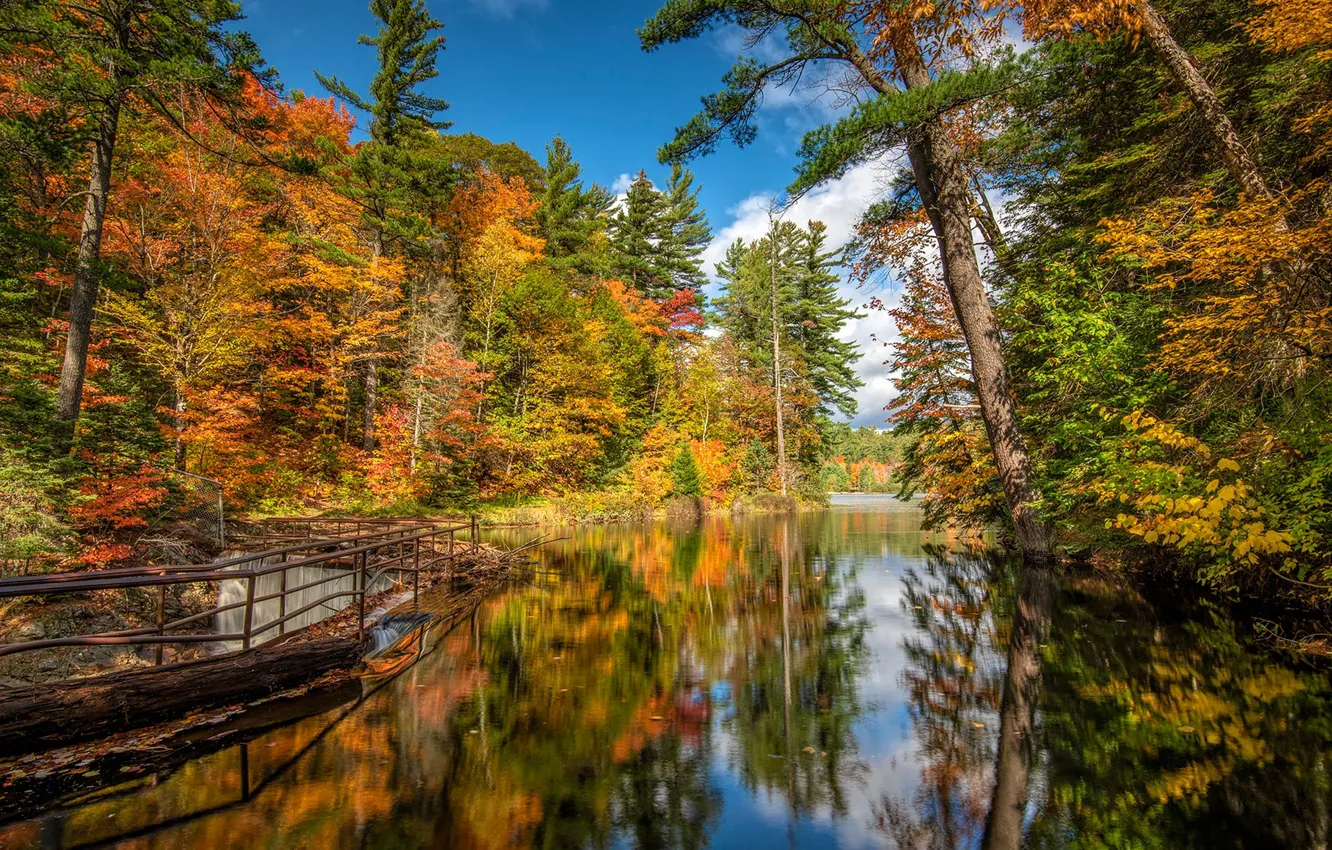 Фото обои осень, лес, деревья, отражение, река, Канада, дамба, Онтарио