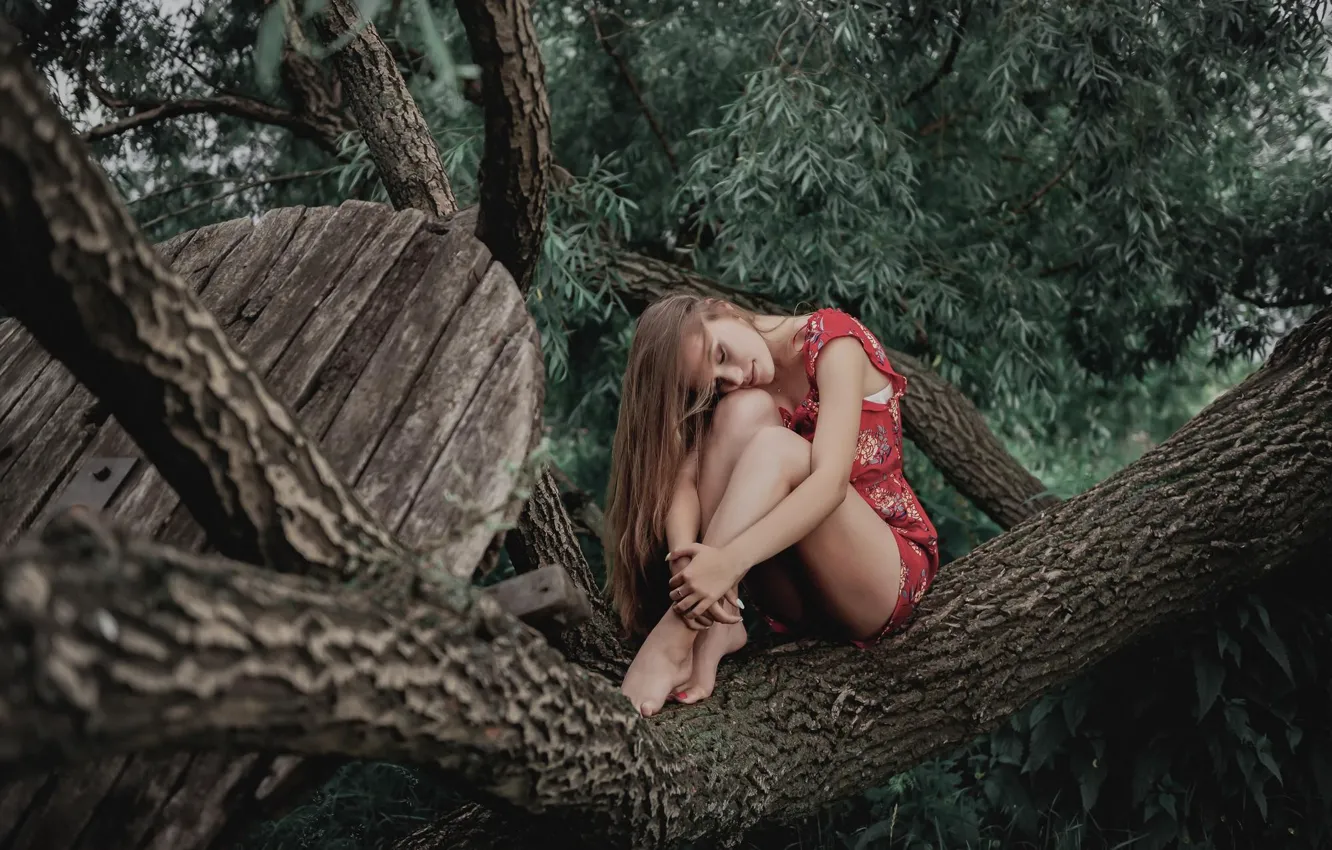 Фото обои девушка, природа, поза, дерево, волосы, ножки, Василиса Переходова