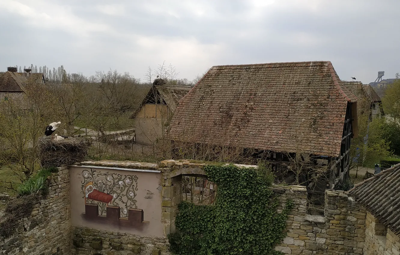 Фото обои france, cigogne, alsace