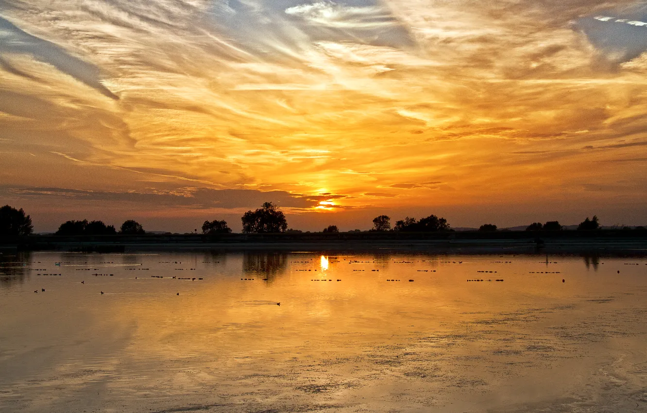 Фото обои солнце, закат, птицы, озеро, вечер
