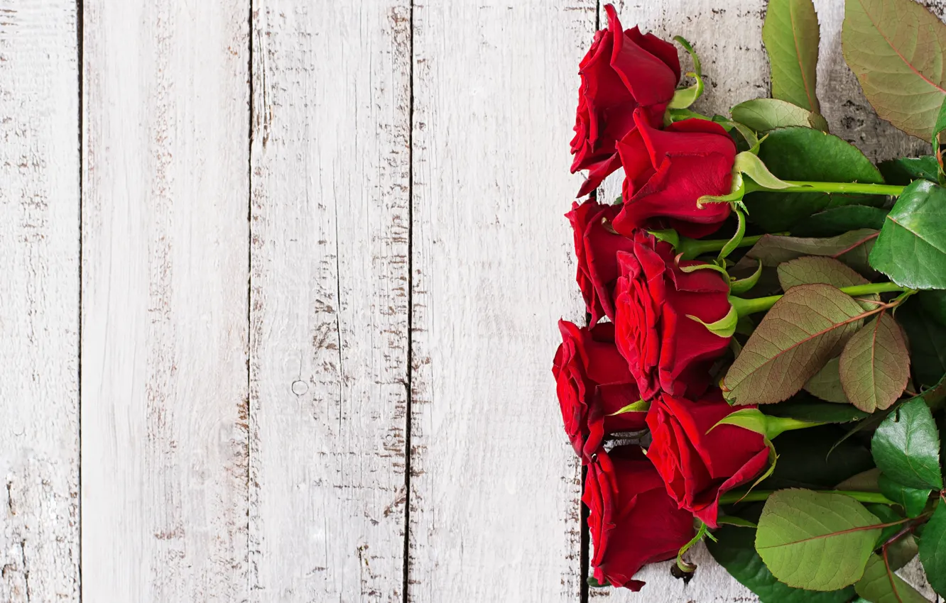 Фото обои фон, розы, букет, красные, wood