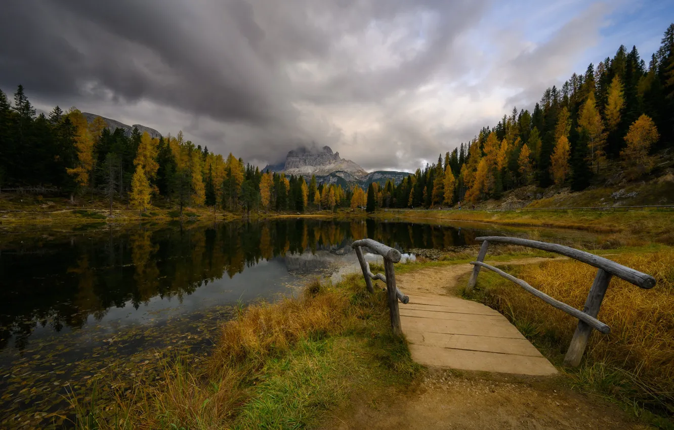 Фото обои осень, лес, трава, горы, тучи, озеро, отражение, пасмурно