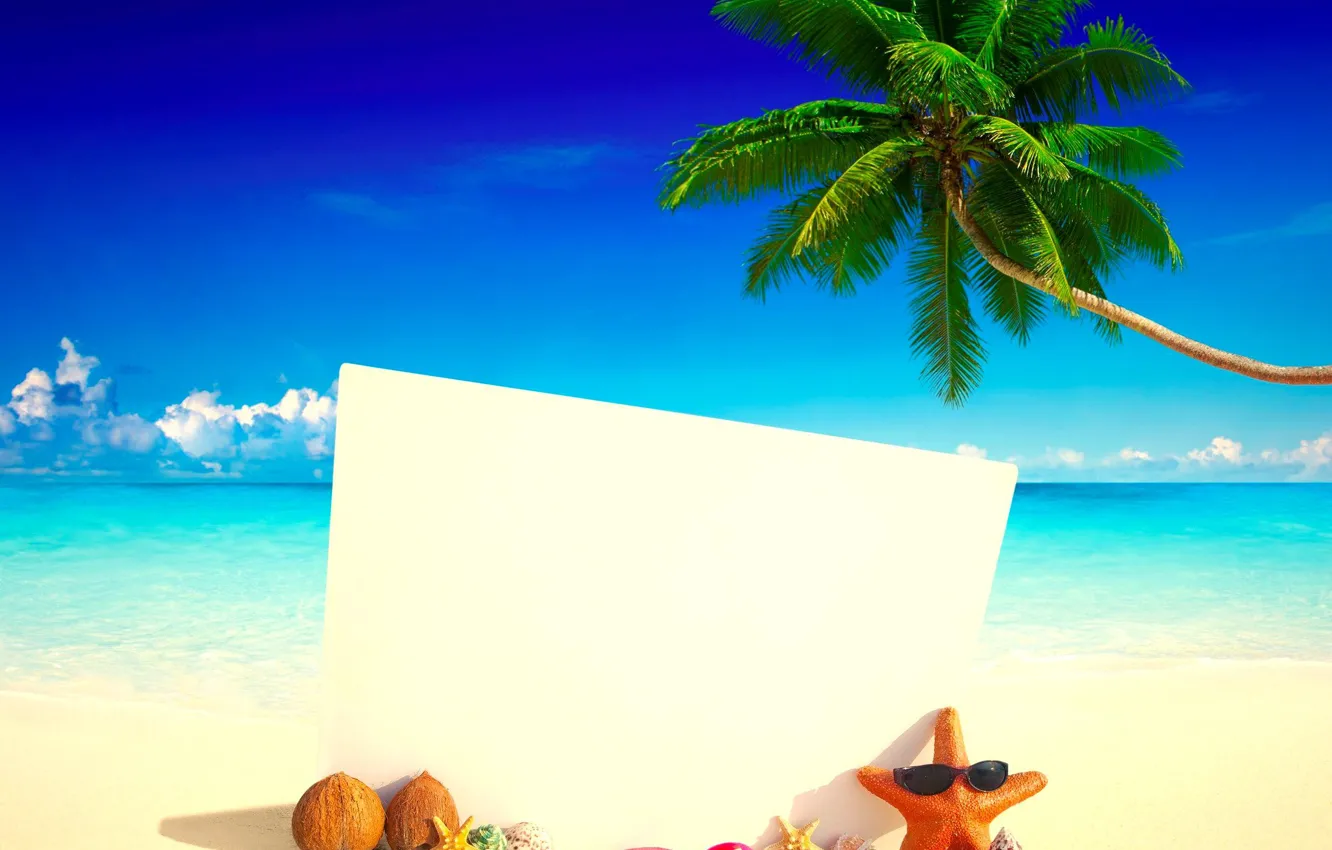 Фото обои море, пляж, тропики, пальма, кокос, карточка, сланцы
