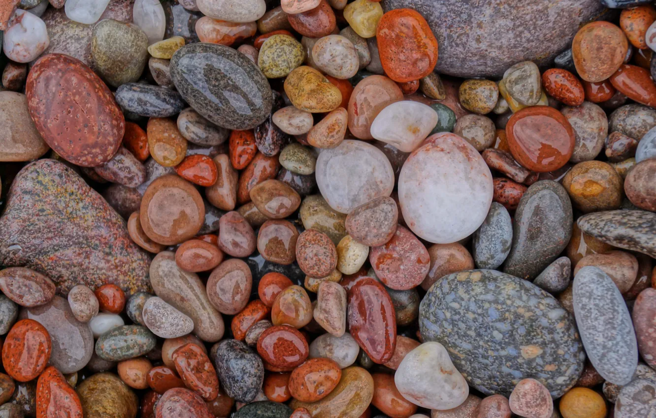 Фото обои wet, stones, shiny, pebble