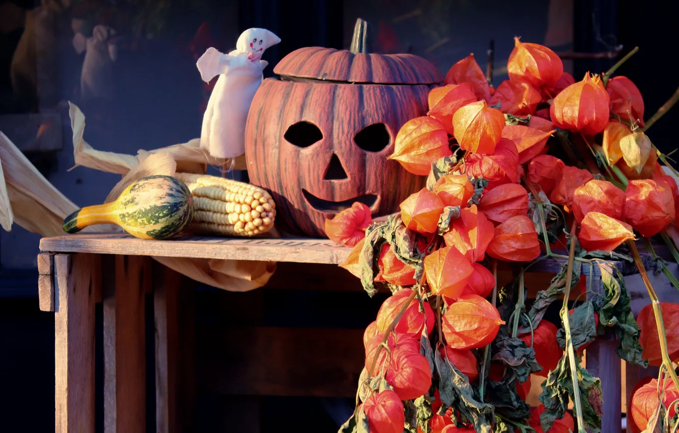 Фото обои осень, тыква, хэллоуин, физалис, хеллоуин, рожица, глазницы
