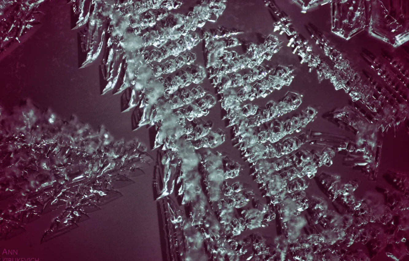 Фото обои лед, стекло, макро, фотограф ann_ann (Ann Kibukevich)
