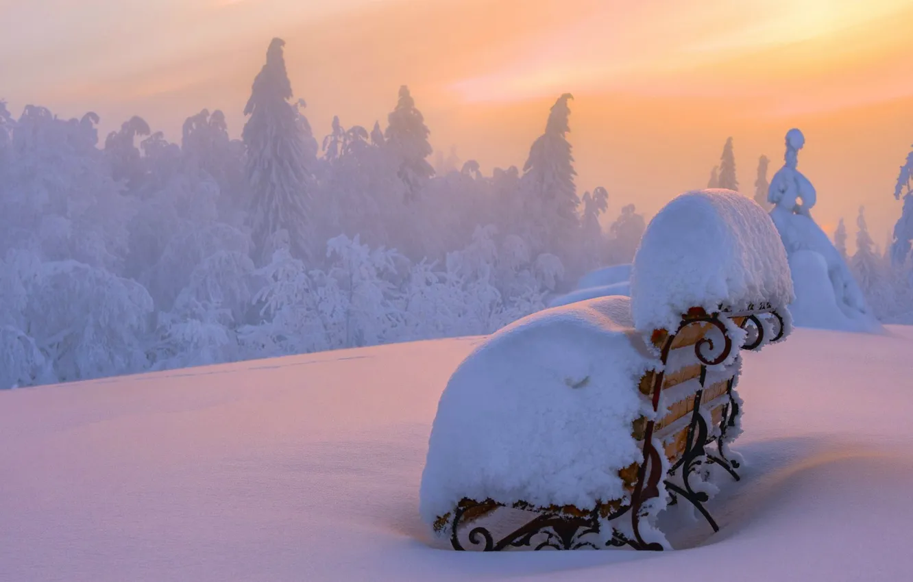 Фото обои лес, снег, закат, snow, Лавочка