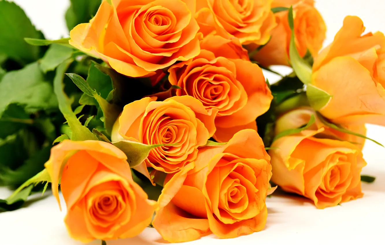 Фото обои оранжевый, розы, букет, flower, roses