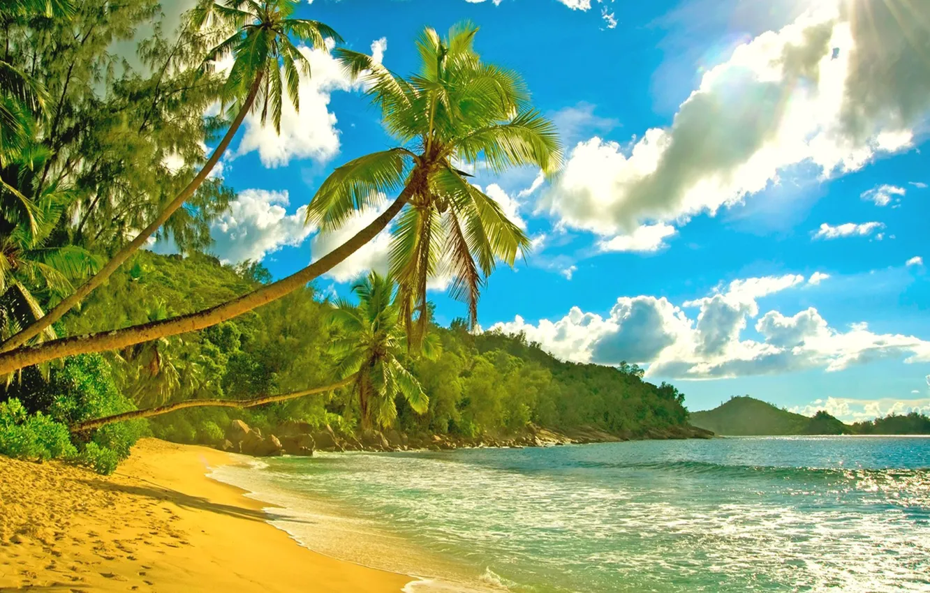 Фото обои пальмы, океан, берег, Сейшелы