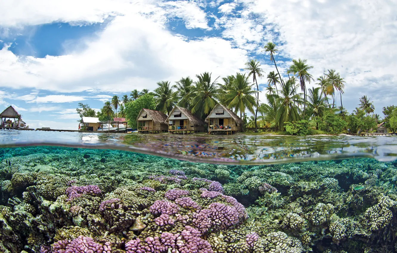 Фото обои Tahiti, palms, coral, submersible, bungalows with thatched, clear transparent water