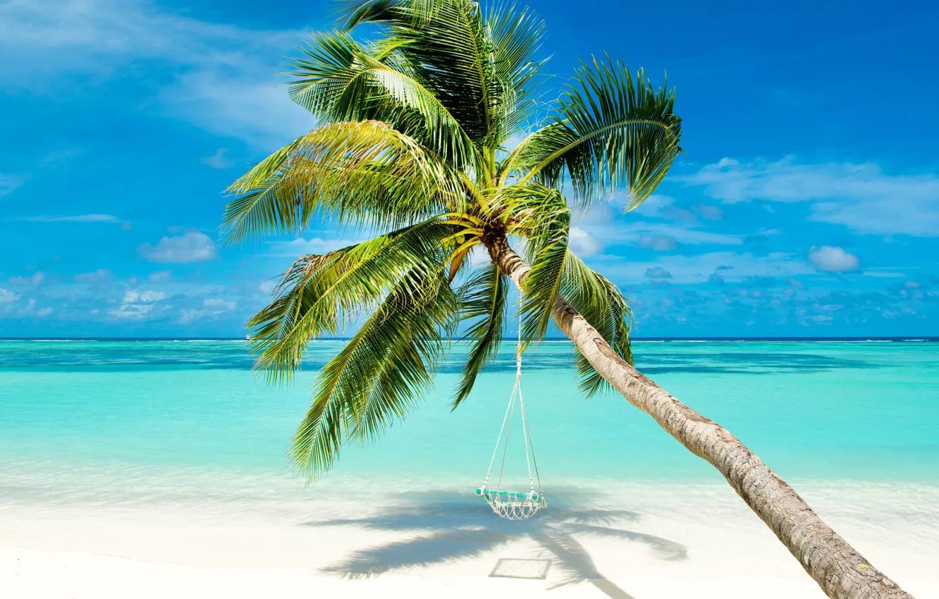 Фото обои море, пляж, природа, тропики, пальмы, берег, голубое небо
