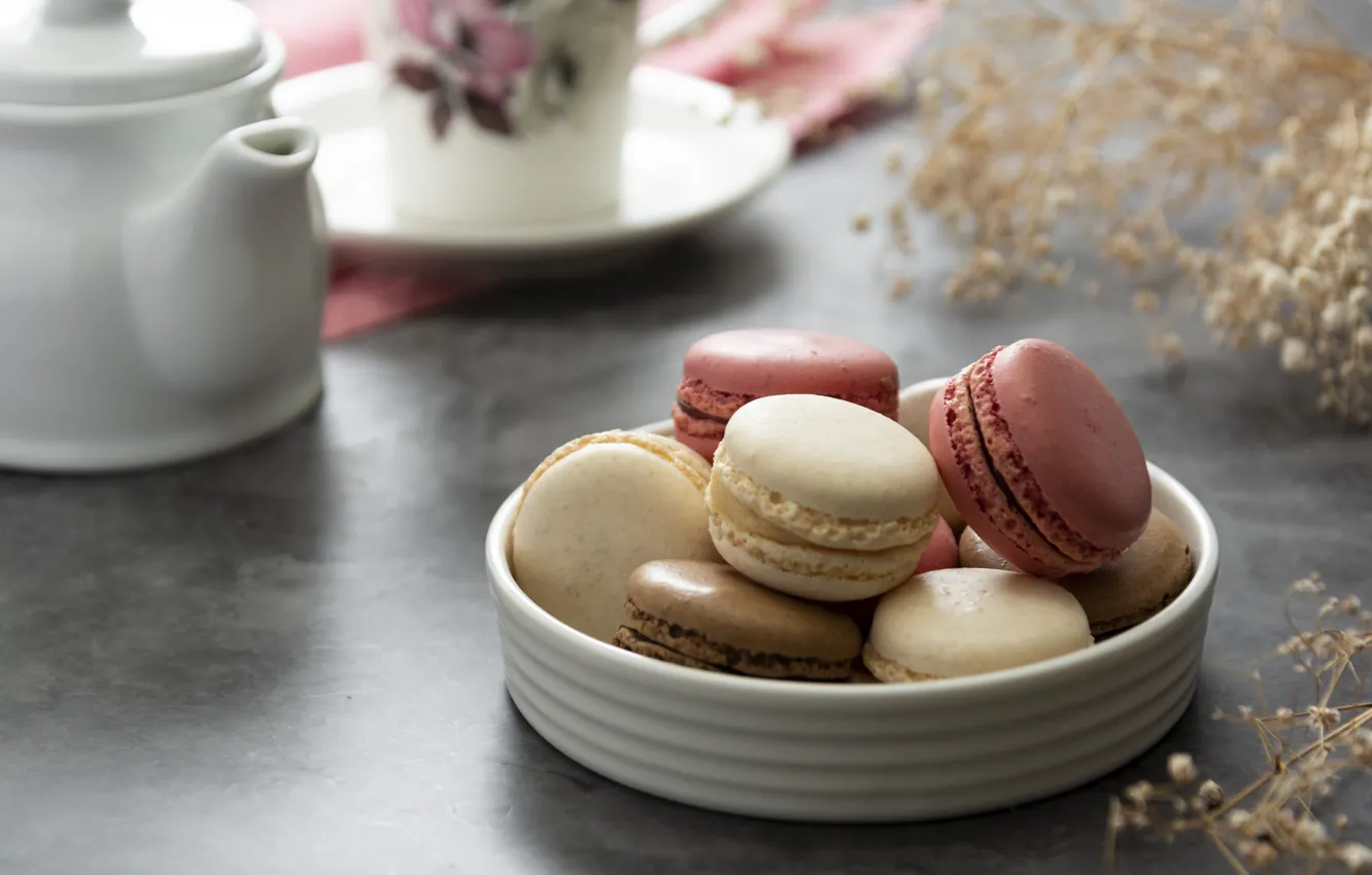 Фото обои цветы, печенье, macaron, миндальное, макаронс, Karina Klachuk
