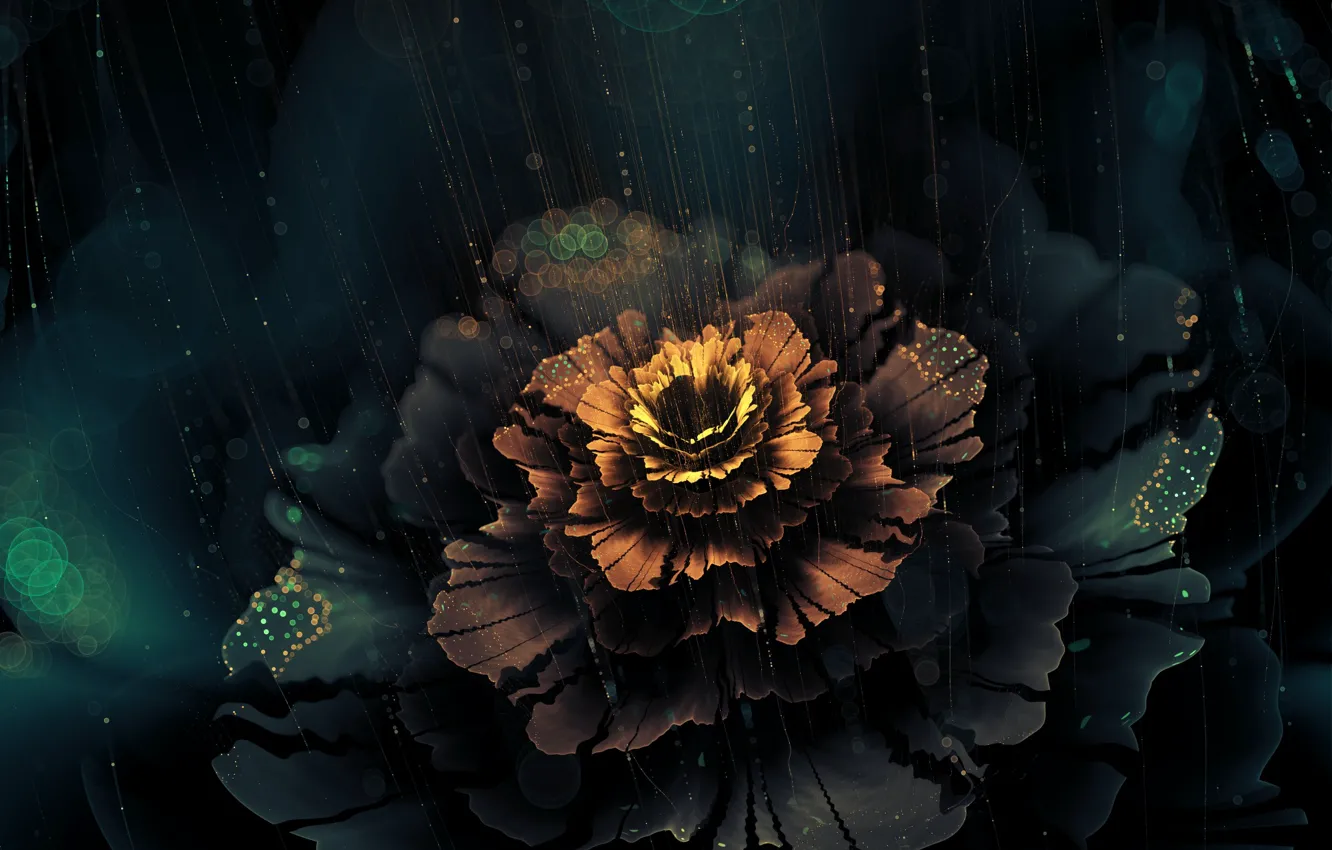 Фото обои цветок, лучи, абстракция, сияние, графика, фрактал