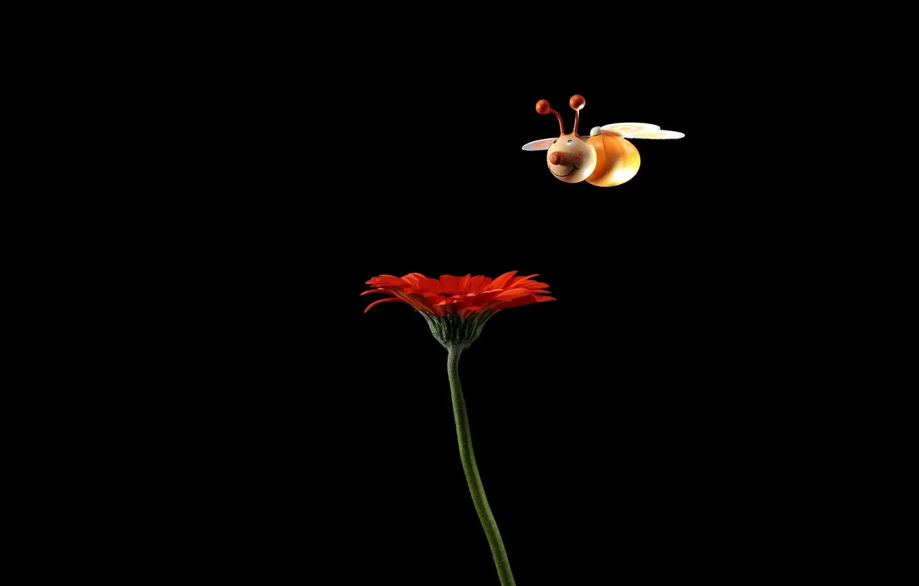 Фото обои цветок, пчела, игрушка