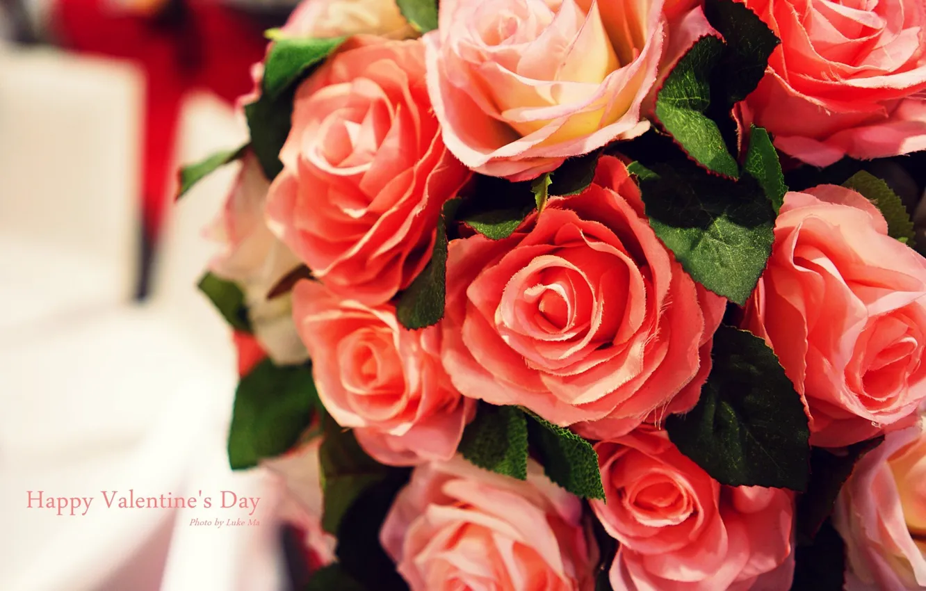 Фото обои цветы, розы, rose, flowers, happy valentines day, день Святого Валентина
