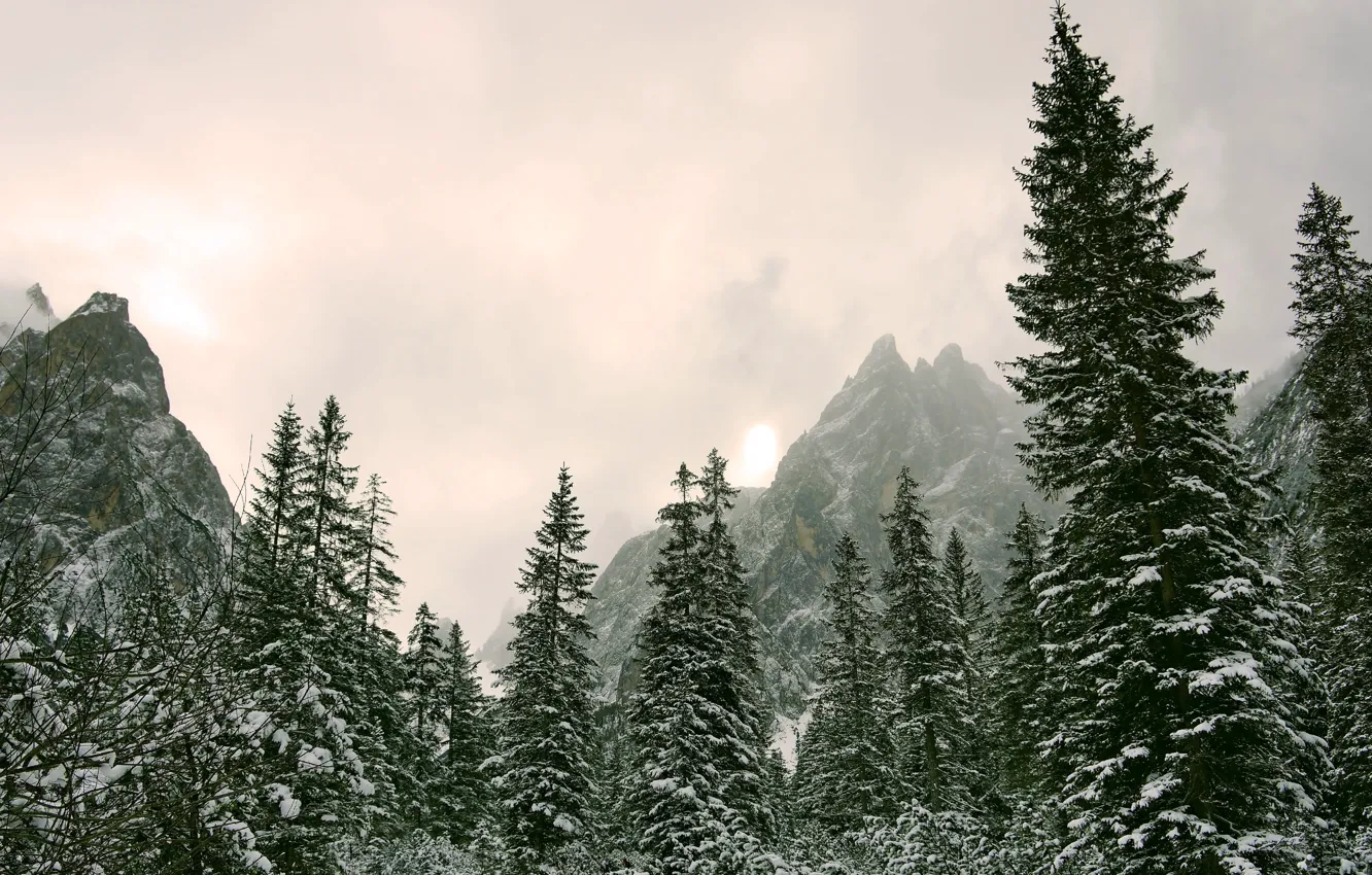 Фото обои зима, небо, солнце, снег, деревья, горы, природа, пасмурно