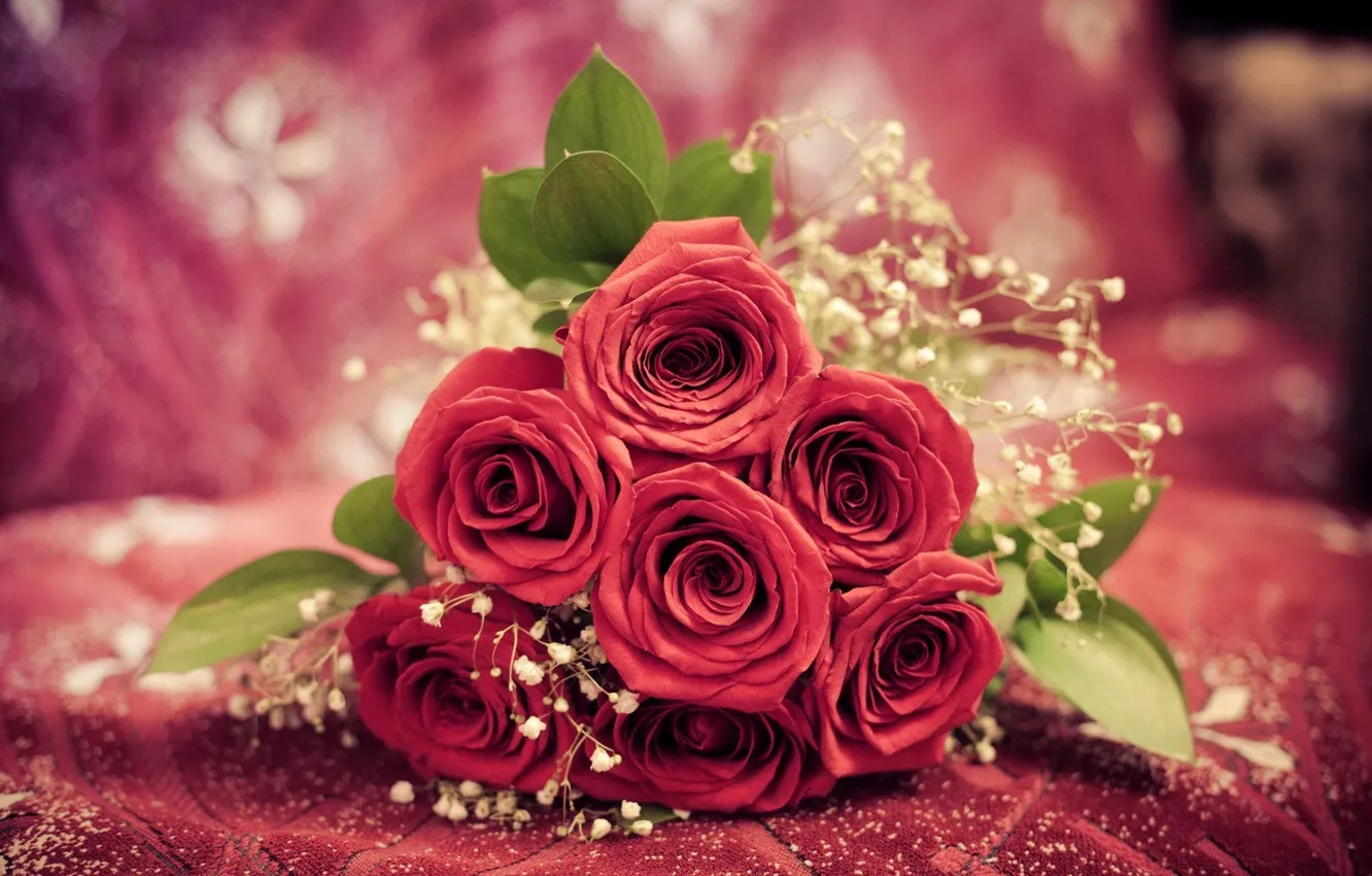 Фото обои цветы, розы, букет