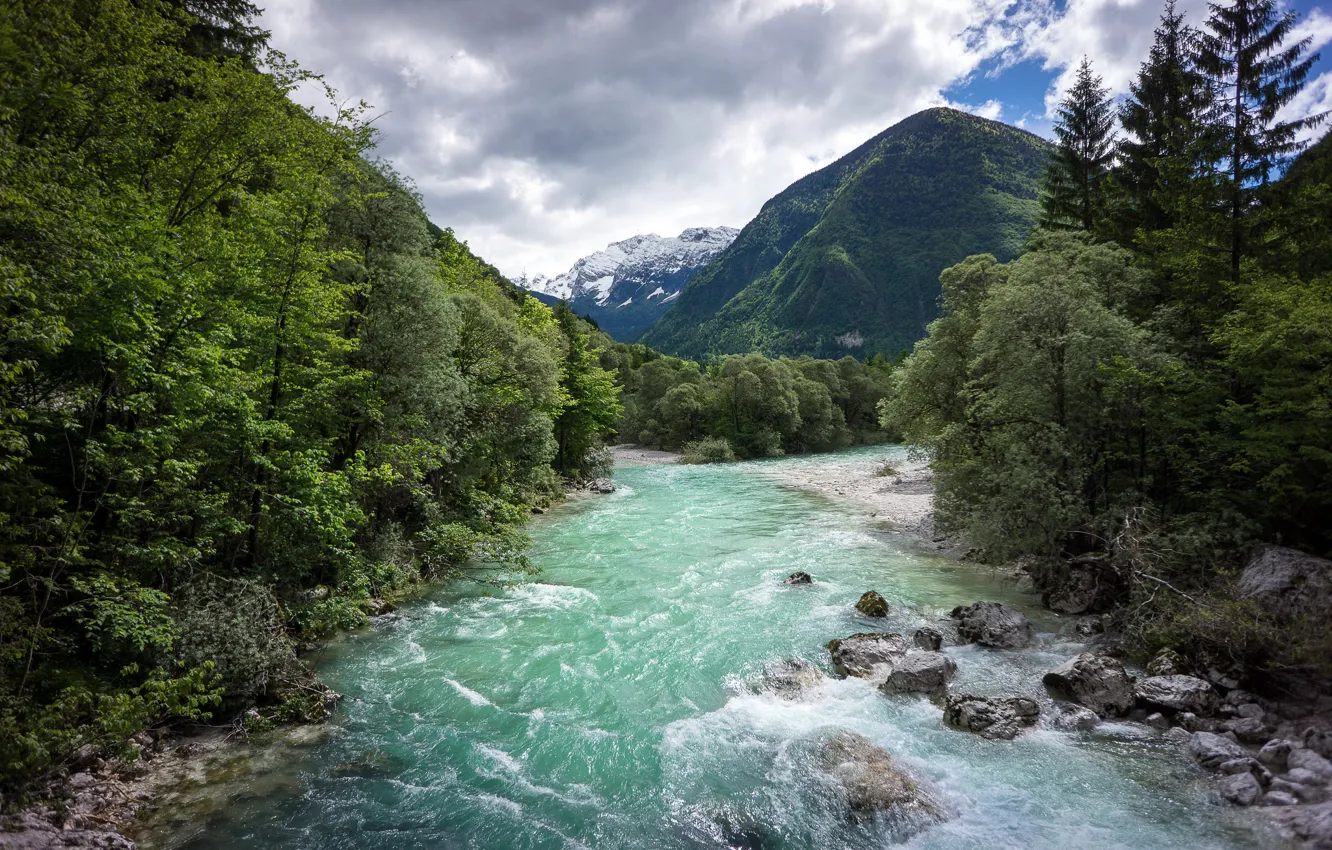 Фото обои лес, горы, река, Словения, Национальный Парк Triglav