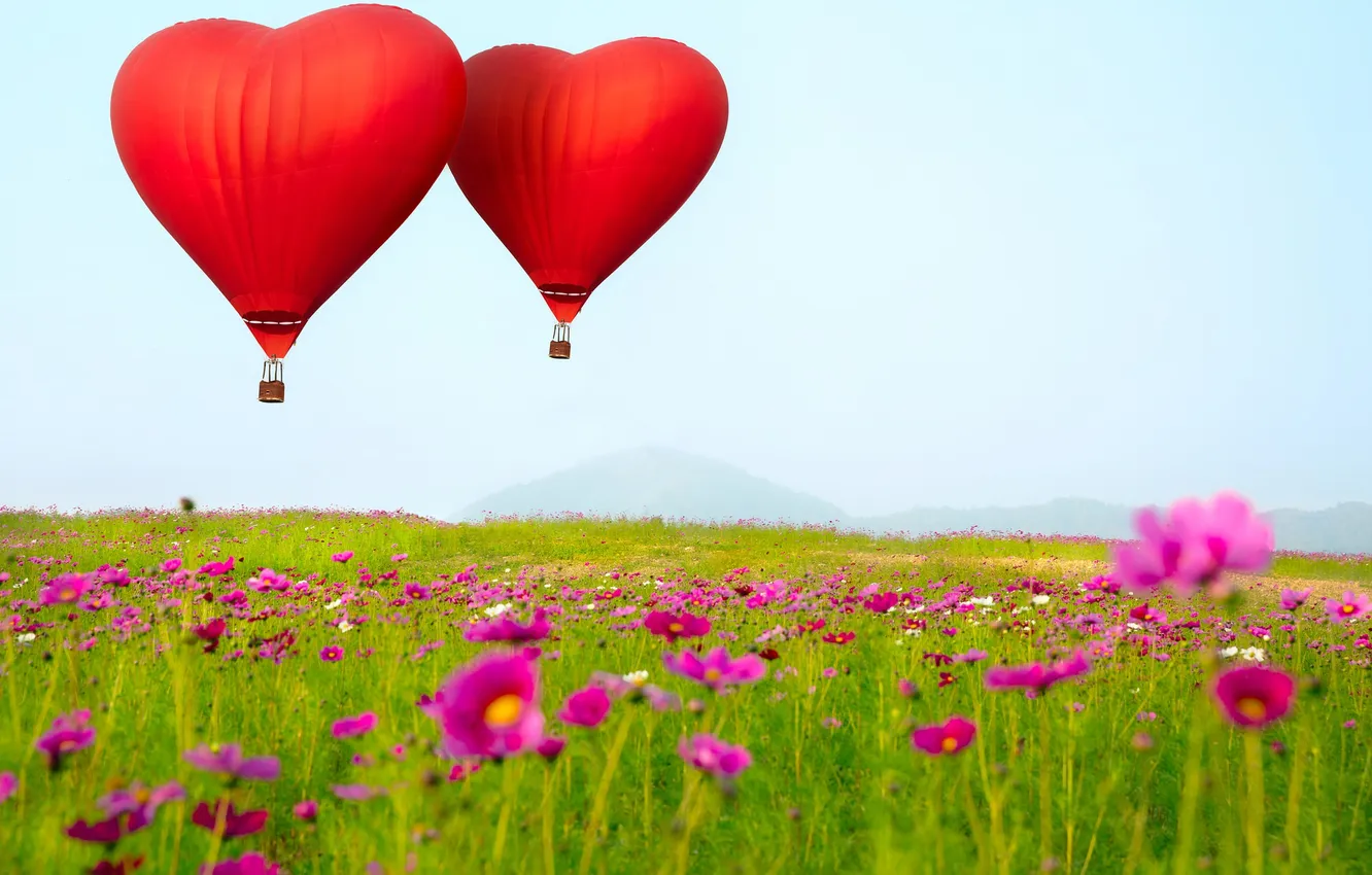 Фото обои цветы, воздушные шары, В форме сердца