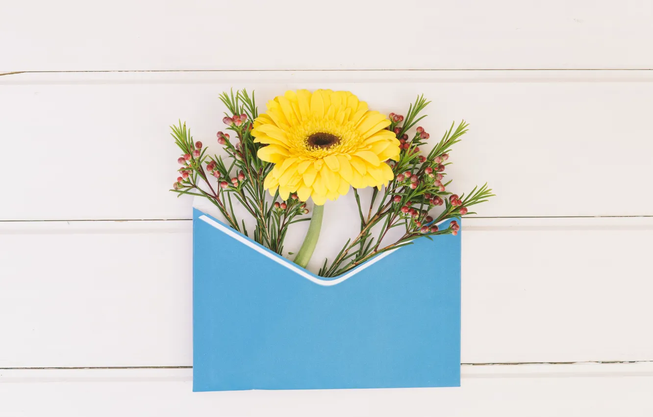Фото обои цветы, желтая, конверт, гербера, композиция