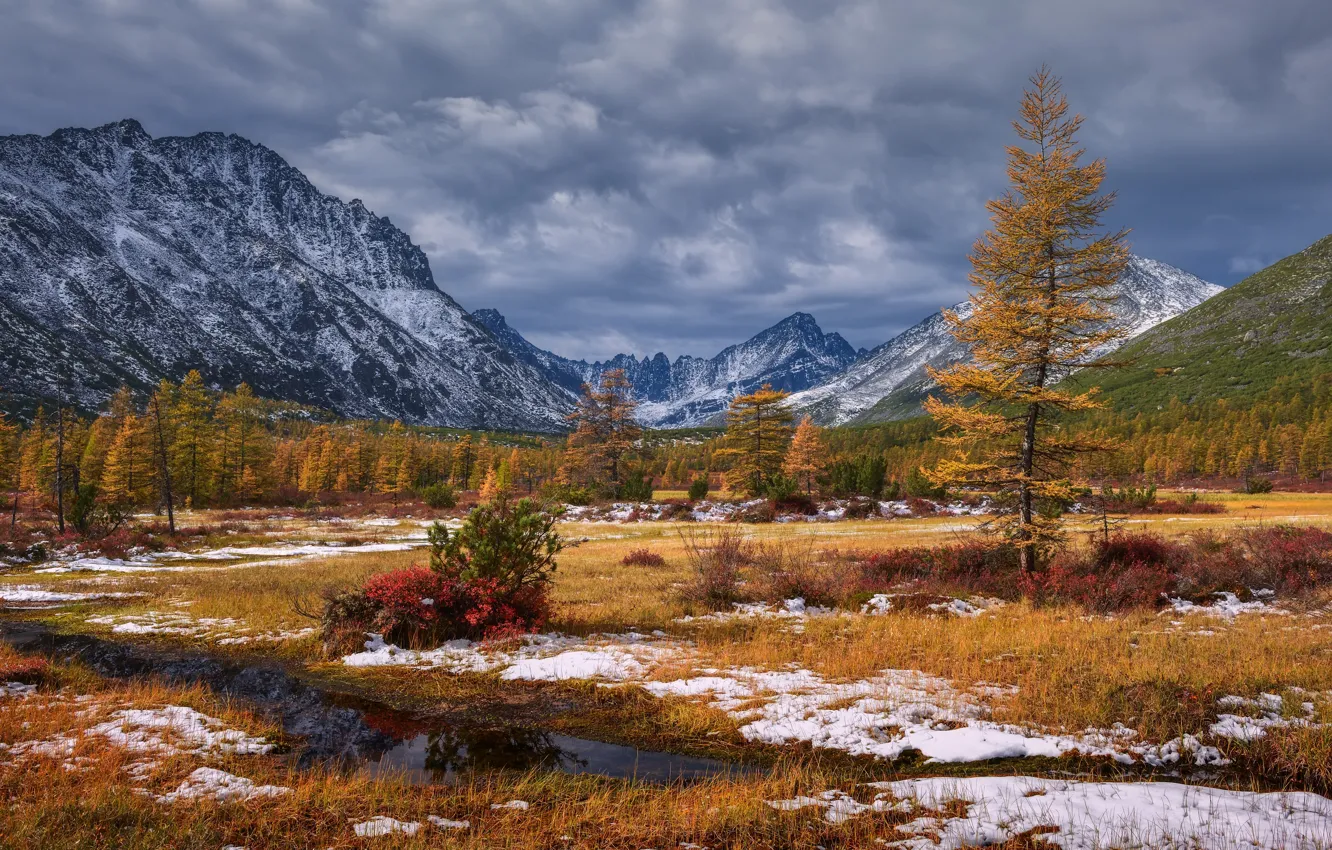 Фото обои осень, снег, пейзаж, горы, тучи, природа, растительность, Колыма