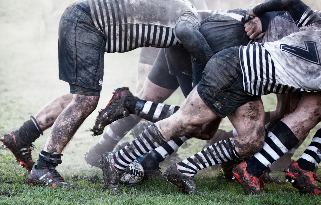 Фото обои спорт, игра, rugby
