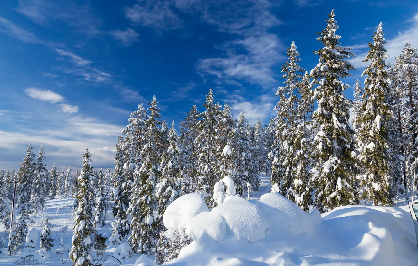Фото обои зима, лес, небо, снег, ели, сугробы, Швеция, Sweden