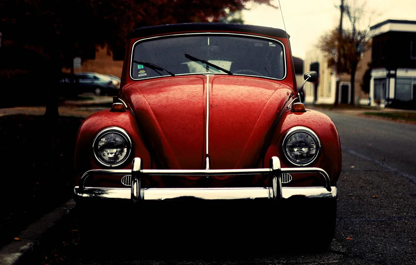 Фото обои жук, Volkswagen, beetle, old