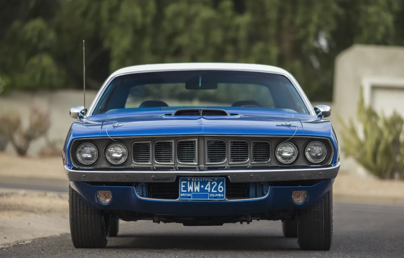 Фото обои 1971, Plymouth, Hemi, 'Cuda