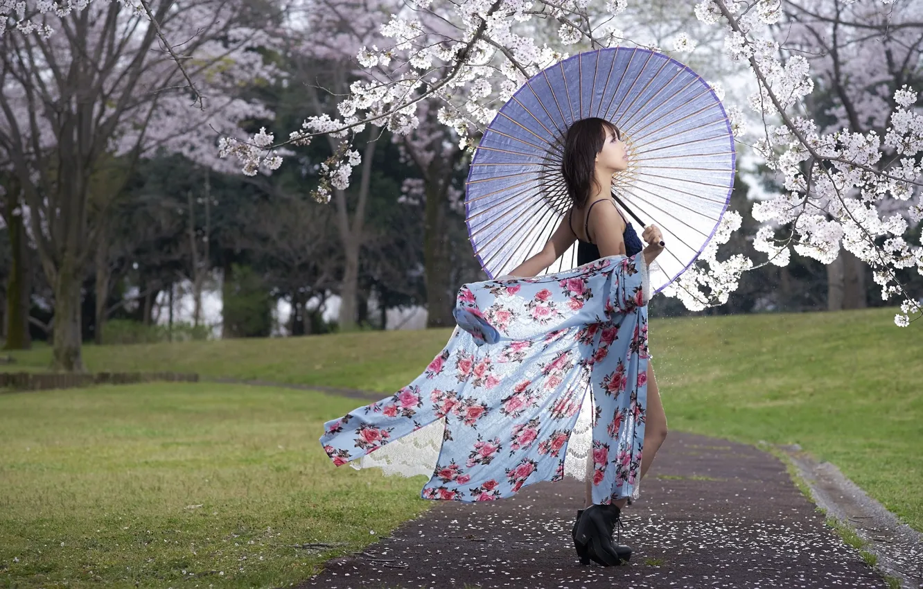 Фото обои девушка, весна, зонт