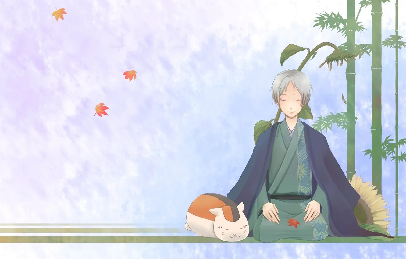 Фото обои кот, листья, рисунок, подсолнух, бамбук, парень, madara, natsume yuujinchou