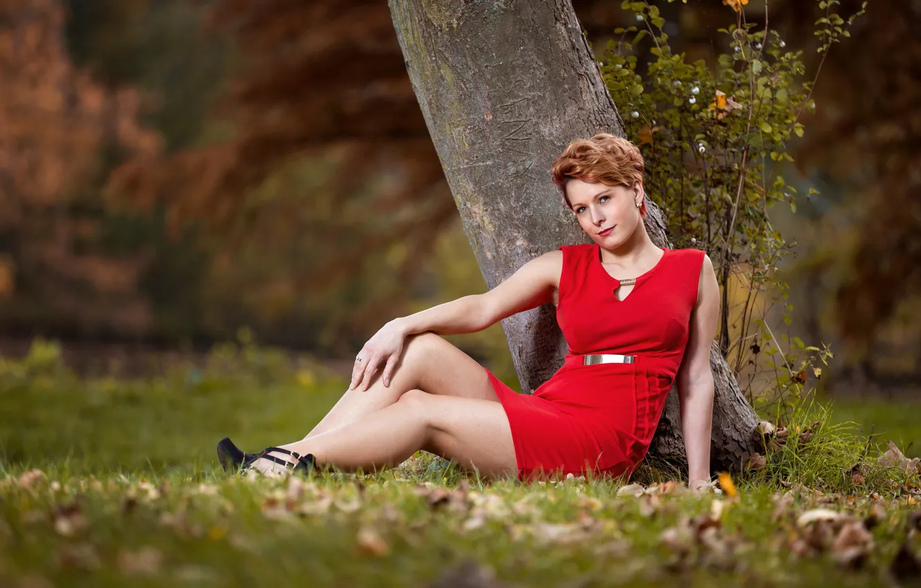 Фото обои трава, листья, дерево, ноги, женщина, красное платье, прямой взгляд