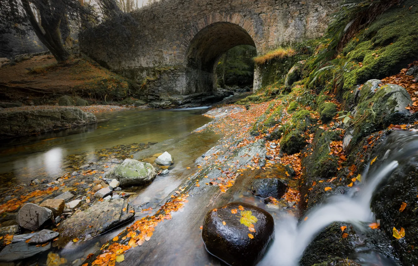 Фото обои осень, мост, камни, арка, водоем
