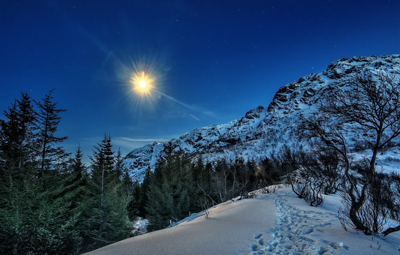 Фото обои зима, небо, солнце, снег, деревья, горы, склон, Норвегия