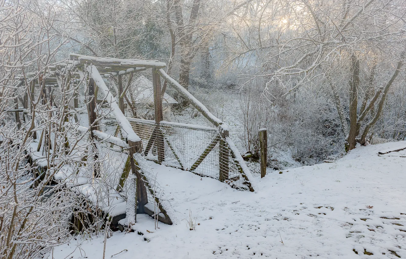 Фото обои зима, снег, деревья, мост, white, landscape, winter, snow