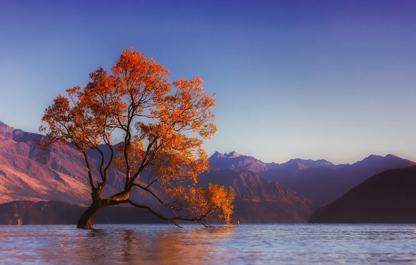 Фото обои вода, деревья, пейзаж, горы