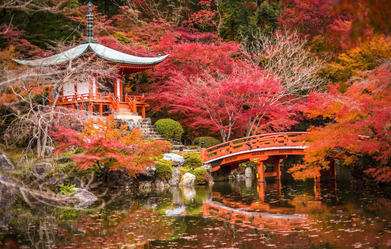 Фото обои осень, деревья, пруд, парк, камни, Япония, пагода, мостик